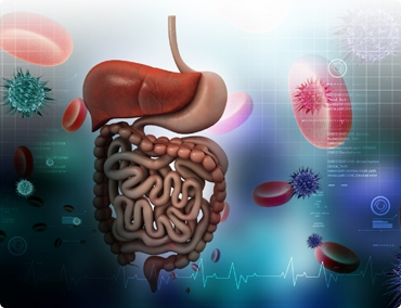 Dưỡng sinh kinh lạc